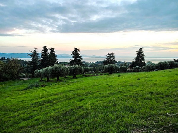 terreno agricolo in vendita a Passignano sul Trasimeno in zona San Donato