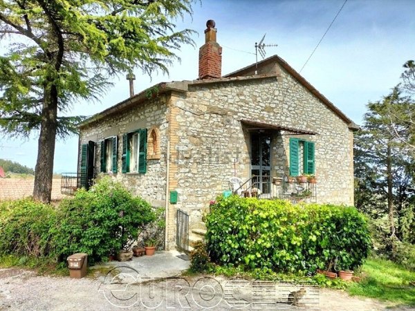esavano in vendita a Passignano sul Trasimeno in zona Castel Rigone