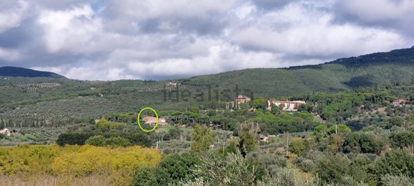 esavano in vendita a Passignano sul Trasimeno
