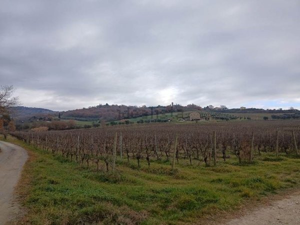 appartamento in vendita a Passignano sul Trasimeno