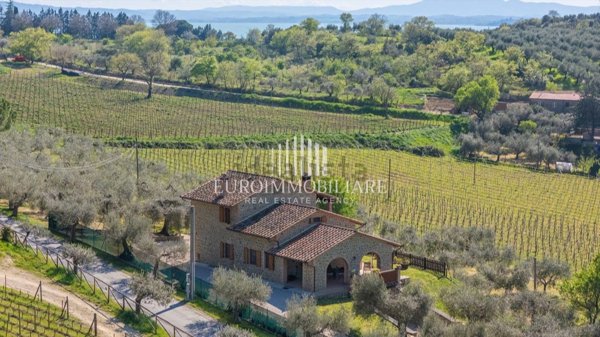 esavano in vendita a Passignano sul Trasimeno