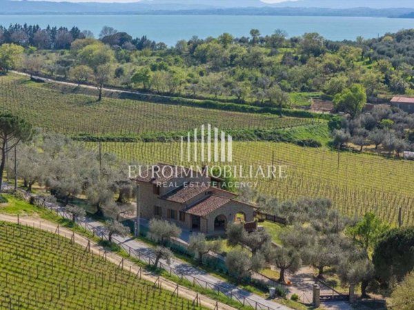 esavano in vendita a Passignano sul Trasimeno