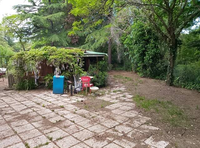 terreno agricolo in vendita a Passignano sul Trasimeno