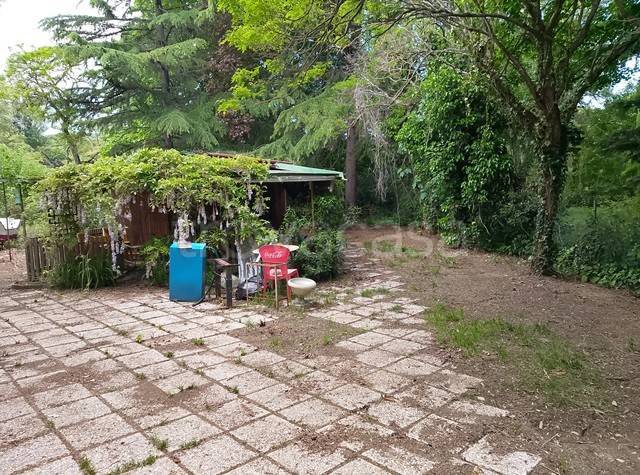 terreno agricolo in vendita a Passignano sul Trasimeno