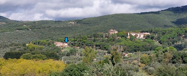 esavano in vendita a Passignano sul Trasimeno