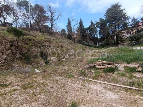 terreno agricolo in vendita a Passignano sul Trasimeno in zona Castel Rigone