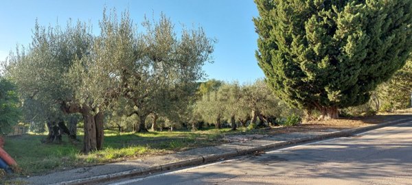 terreno edificabile in vendita a Passignano sul Trasimeno