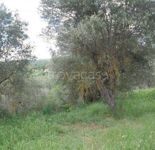 terreno agricolo in vendita a Passignano sul Trasimeno in zona Pischiello