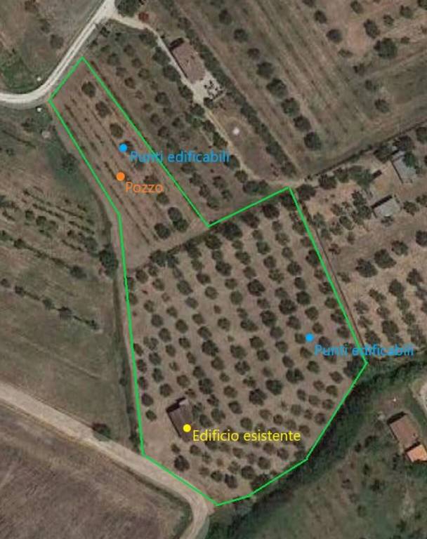 terreno agricolo in vendita a Passignano sul Trasimeno