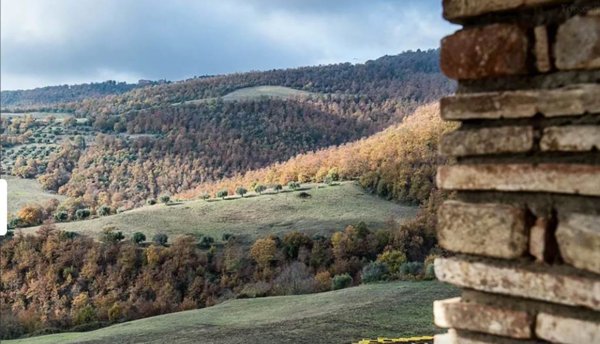 azienda agricola in vendita a Passignano sul Trasimeno