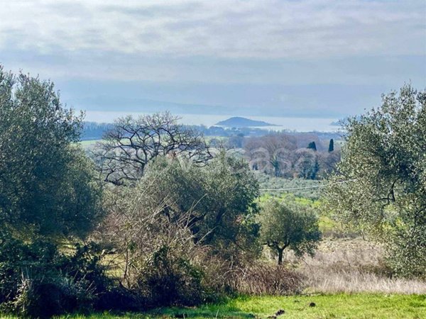 azienda agricola in vendita a Passignano sul Trasimeno