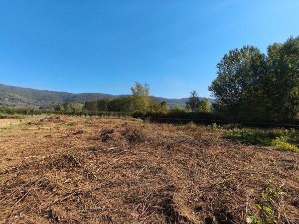 terreno edificabile in vendita a Passignano sul Trasimeno in zona Pischiello