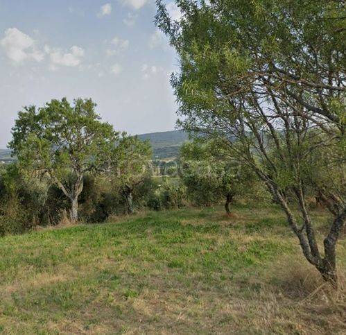 terreno edificabile in vendita a Passignano sul Trasimeno
