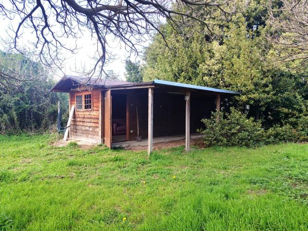 terreno agricolo in vendita a Passignano sul Trasimeno