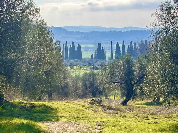 terreno in vendita a Passignano sul Trasimeno in zona Pischiello