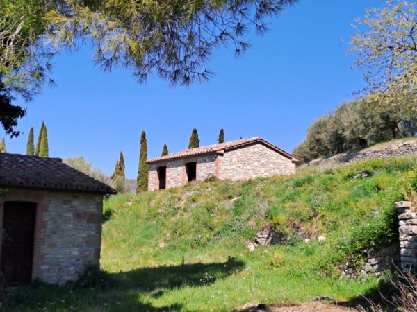 appartamento in vendita a Passignano sul Trasimeno