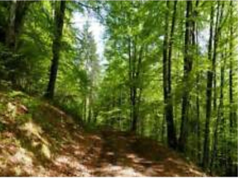 appartamento in vendita a Perugia in zona Montelaguardia