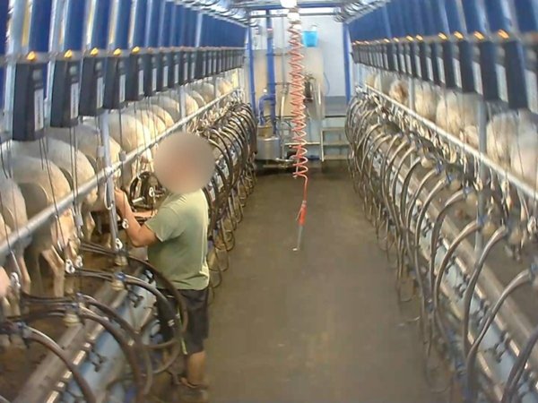 negozio in vendita a Perugia in zona Bosco