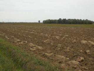terreno agricolo in vendita a Perugia in zona Pila