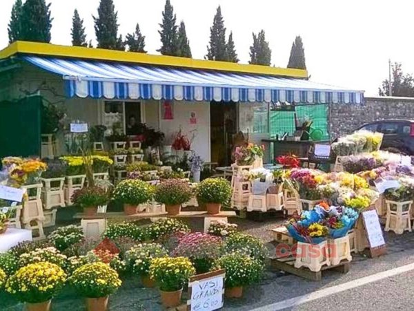 negozio in vendita a Perugia in zona Elce