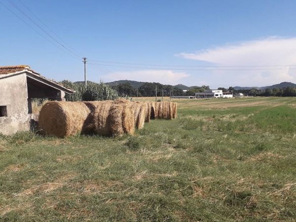 terreno agricolo in vendita a Perugia