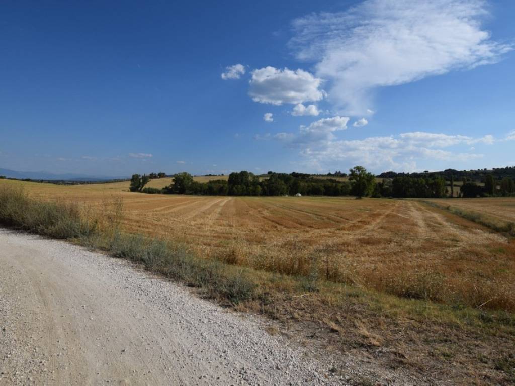 terreno agricolo in vendita a Perugia in zona Collestrada