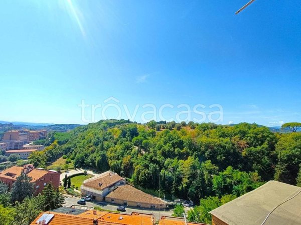 appartamento in vendita a Perugia in zona Elce
