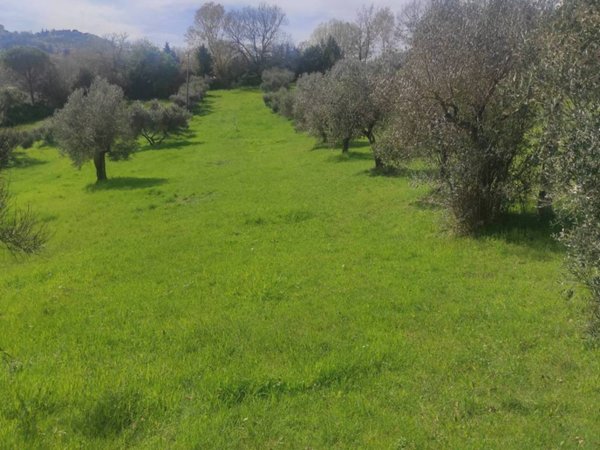 terreno agricolo in vendita a Perugia in zona Pretola