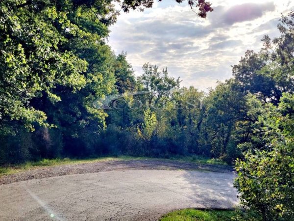 terreno agricolo in vendita a Perugia in zona Canneto