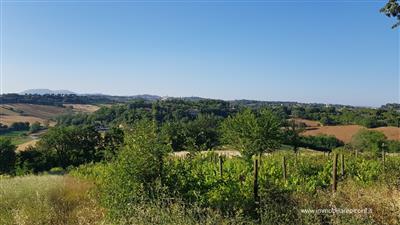 terreno agricolo in vendita a Perugia in zona San Fortunato