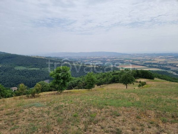 terreno agricolo in vendita a Perugia in zona Pianello