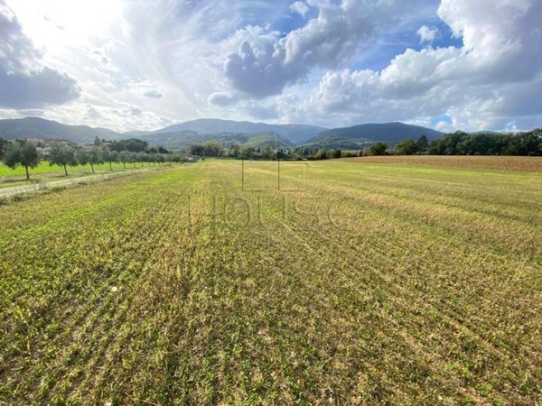 terreno agricolo in vendita a Perugia in zona San Giovanni del Pantano