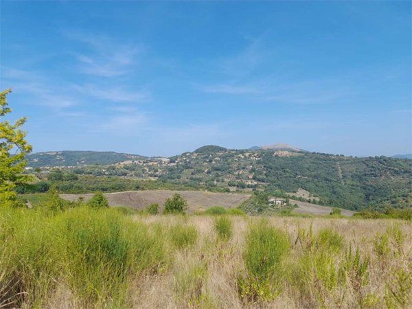 terreno agricolo in vendita a Perugia in zona Montelaguardia