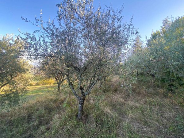 terreno agricolo in vendita a Perugia in zona Pretola