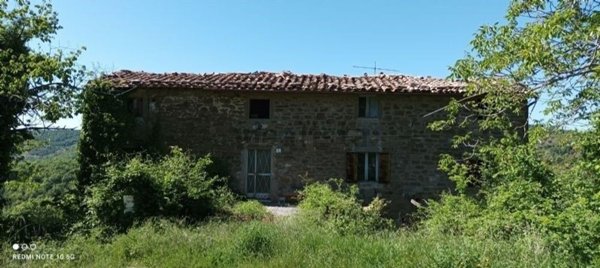 pentavano in vendita a Perugia