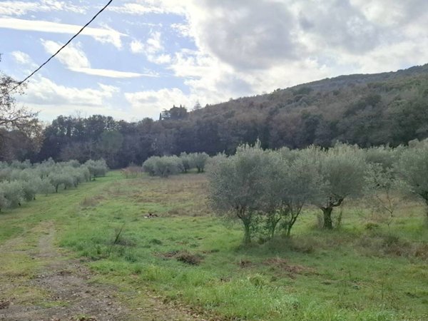 terreno agricolo in vendita a Perugia in zona Ferro di Cavallo
