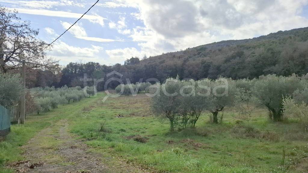 terreno agricolo in vendita a Perugia in zona Città della Domenica