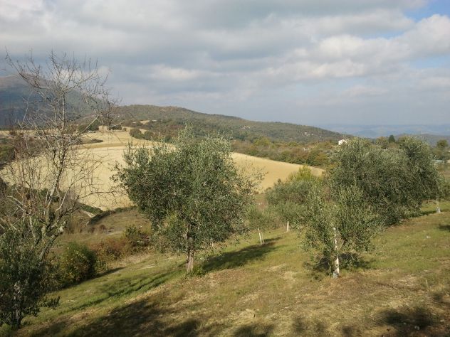 terreno agricolo in vendita a Perugia in zona Centro Città