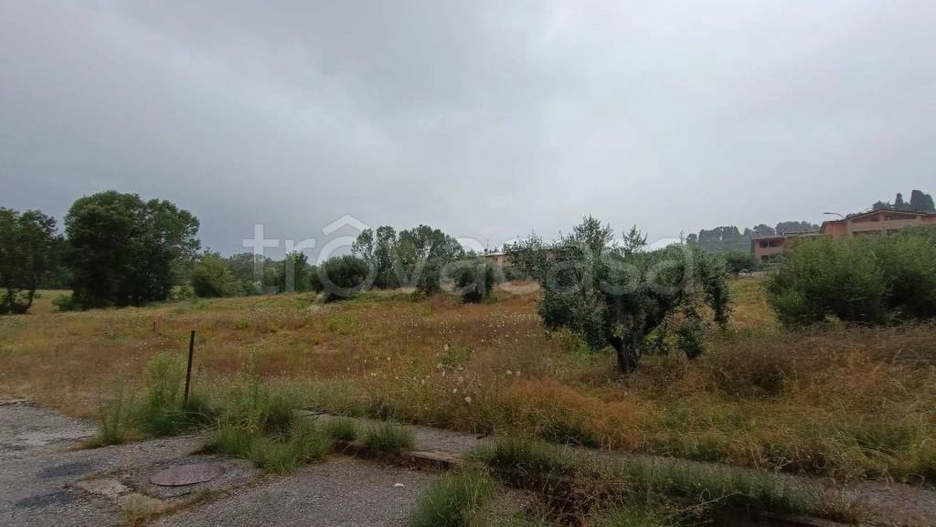 terreno agricolo in vendita a Perugia in zona Piccione