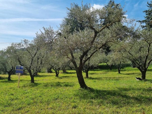 terreno agricolo in vendita a Perugia in zona Villa Pitignano