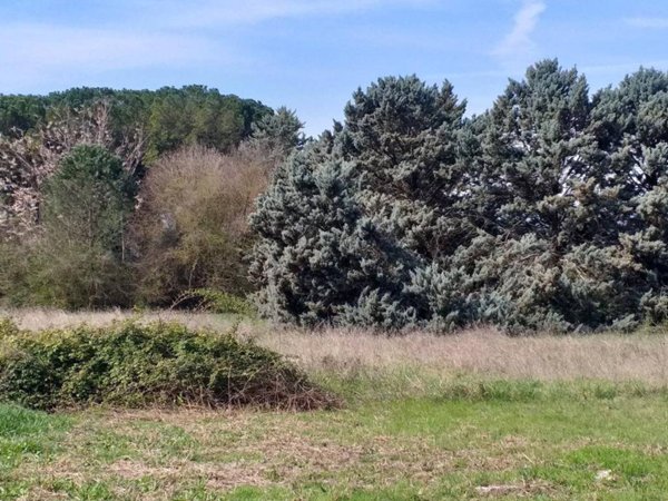 terreno agricolo in vendita a Perugia in zona Castel del Piano
