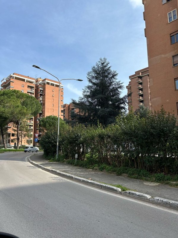 appartamento in vendita a Perugia in zona Madonna Alta