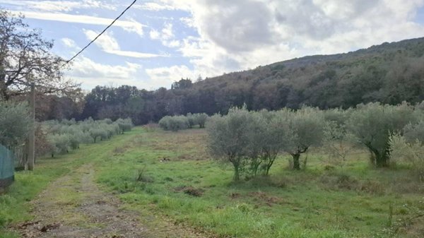 terreno agricolo in vendita a Perugia in zona L'Olmo