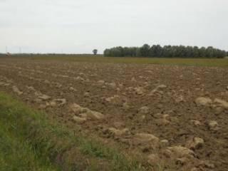 terreno agricolo in vendita a Perugia in zona Castel del Piano