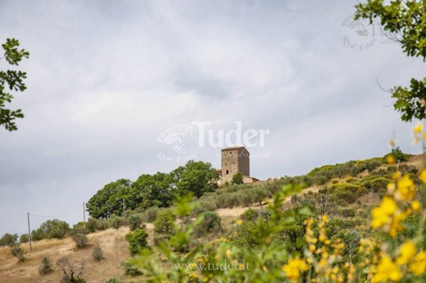 terreno agricolo in vendita a Perugia in zona Piccione