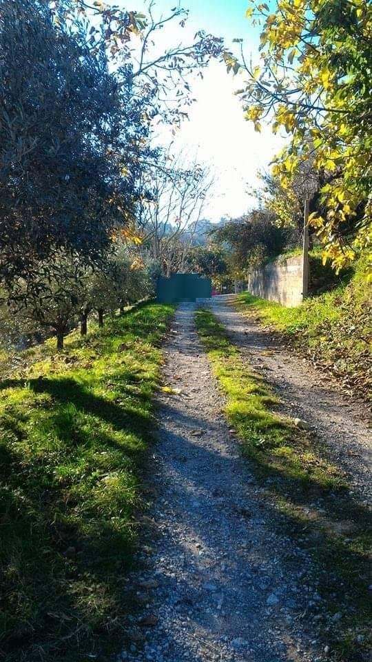 terreno agricolo in vendita a Perugia in zona Pretola
