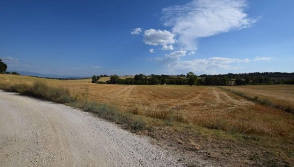 terreno agricolo in vendita a Perugia in zona Collestrada