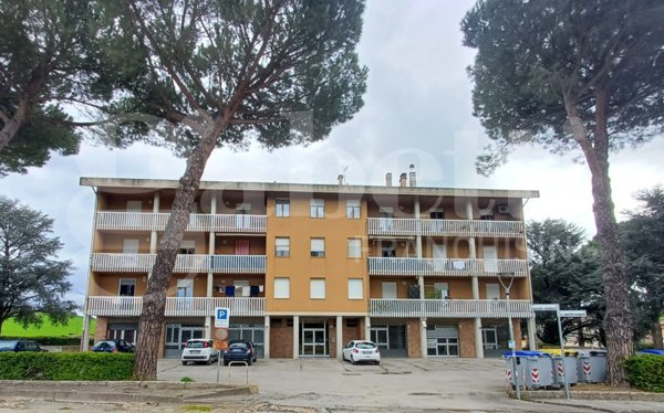 appartamento in vendita a Perugia in zona Colombella