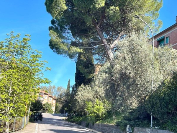 appartamento in vendita a Perugia in zona Elce