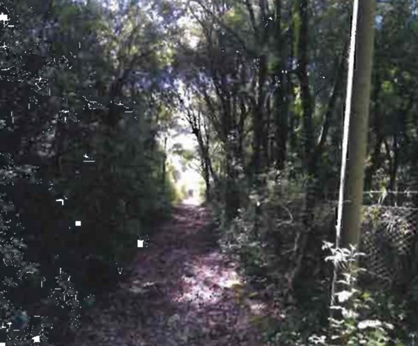 terreno agricolo in vendita a Perugia in zona Bosco